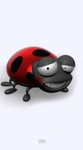 New mobile wallpapers - free download. Humor, Ladybugs picture and image for mobile phones.