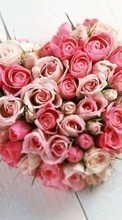 New mobile wallpapers - free download. Bouquets, Flowers, Valentine&#039;s day, Holidays, Plants, Roses, Hearts picture and image for mobile phones.