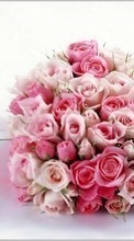 New mobile wallpapers - free download. Bouquets, Flowers, Background, Plants picture and image for mobile phones.