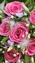 New mobile wallpapers - free download. Bouquets, Flowers, Background, Plants, Roses picture and image for mobile phones.