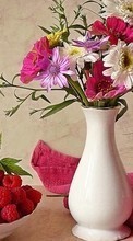 New mobile wallpapers - free download. Bouquets, Flowers, Still life, Plants picture and image for mobile phones.