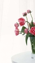 New mobile wallpapers - free download. Bouquets, Flowers, Still life, Plants picture and image for mobile phones.