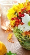 New mobile wallpapers - free download. Bouquets,Flowers,Objects picture and image for mobile phones.
