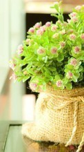 New mobile wallpapers - free download. Bouquets, Flowers, Objects, Plants picture and image for mobile phones.