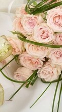 New mobile wallpapers - free download. Bouquets,Flowers,Holidays picture and image for mobile phones.