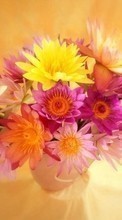 New mobile wallpapers - free download. Bouquets, Flowers, Plants picture and image for mobile phones.