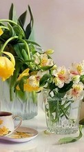 Bouquets,Flowers,Plants for LG Optimus Swift GT540