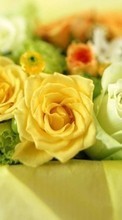 New mobile wallpapers - free download. Bouquets, Flowers, Plants, Roses picture and image for mobile phones.