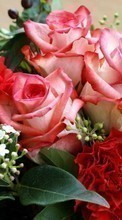 New mobile wallpapers - free download. Bouquets,Flowers,Plants,Roses picture and image for mobile phones.