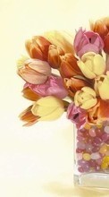 New mobile wallpapers - free download. Bouquets,Flowers,Plants,Tulips picture and image for mobile phones.