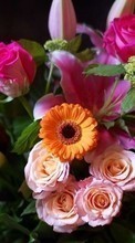 New mobile wallpapers - free download. Bouquets,Flowers,Animals picture and image for mobile phones.