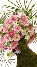 New mobile wallpapers - free download. Bouquets, Holidays, Plants, Roses picture and image for mobile phones.