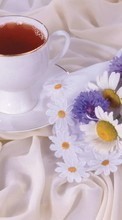 New mobile wallpapers - free download. Flowers, Food, Drinks, Objects, Camomile picture and image for mobile phones.
