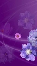 New mobile wallpapers - free download. Flowers,Background picture and image for mobile phones.