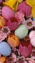 New mobile wallpapers - free download. Plants, Flowers, Backgrounds, Eggs, Easter picture and image for mobile phones.
