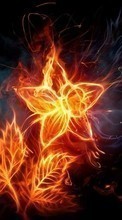 New mobile wallpapers - free download. Flowers,Background,Fire picture and image for mobile phones.