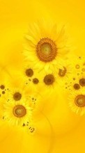 New mobile wallpapers - free download. Flowers,Background,Sunflowers picture and image for mobile phones.