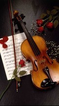 New mobile wallpapers - free download. Flowers, Tools, Violins, Music, Objects, Roses picture and image for mobile phones.