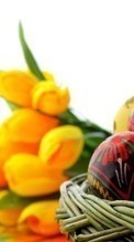 New mobile wallpapers - free download. Flowers, Eggs, Objects, Easter, Holidays picture and image for mobile phones.