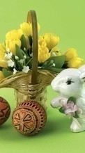 New 240x320 mobile wallpapers Holidays, Plants, Flowers, Eggs, Easter, Objects free download.