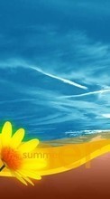 New mobile wallpapers - free download. Flowers, Sky, Drawings picture and image for mobile phones.