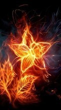 New mobile wallpapers - free download. Flowers, Fire, Drawings picture and image for mobile phones.