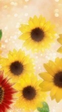 New mobile wallpapers - free download. Plants, Flowers, Sunflowers picture and image for mobile phones.