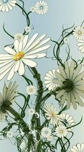 New mobile wallpapers - free download. Flowers, Camomile, Drawings picture and image for mobile phones.
