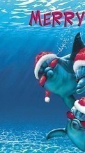 New 1024x768 mobile wallpapers Dolfins, Sea, New Year, Holidays, Christmas, Xmas, Fishes, Humor free download.