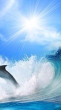 New mobile wallpapers - free download. Dolfins,Animals picture and image for mobile phones.