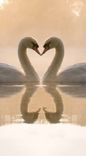 New mobile wallpapers - free download. Valentine&#039;s day, Swans, Love, Birds, Hearts, Water, Animals picture and image for mobile phones.