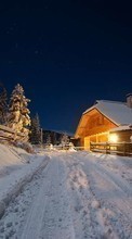 Trees, Houses, Night, Landscape, Snow, Winter
