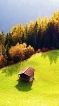 New mobile wallpapers - free download. Trees,Houses,Landscape picture and image for mobile phones.