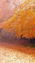 New mobile wallpapers - free download. Trees, Roads, Leaves, Autumn, Landscape picture and image for mobile phones.