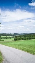 New mobile wallpapers - free download. Trees, Roads, Sky, Clouds, Landscape, Fields picture and image for mobile phones.