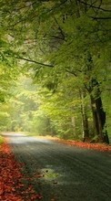 New mobile wallpapers - free download. Landscape, Trees, Roads, Autumn picture and image for mobile phones.