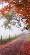 New mobile wallpapers - free download. Trees, Roads, Autumn, Landscape picture and image for mobile phones.