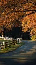 New 240x320 mobile wallpapers Landscape, Trees, Roads, Autumn free download.