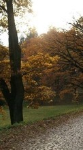 New 360x640 mobile wallpapers Landscape, Trees, Roads, Autumn free download.