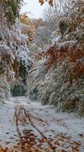 New mobile wallpapers - free download. Trees, Roads, Autumn, Landscape, Snow picture and image for mobile phones.