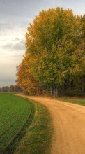 Landscape, Trees, Roads for Sony Xperia P