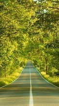 Trees, Roads, Landscape for Sony Xperia SP