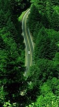 New mobile wallpapers - free download. Trees,Roads,Landscape picture and image for mobile phones.