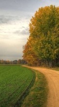 New mobile wallpapers - free download. Trees, Roads, Landscape, Fields picture and image for mobile phones.