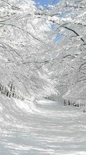Trees, Roads, Landscape, Snow for Nokia 130