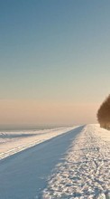 New mobile wallpapers - free download. Trees, Roads, Landscape, Snow, Winter picture and image for mobile phones.