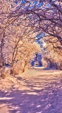 New mobile wallpapers - free download. Trees, Roads, Landscape, Snow, Winter picture and image for mobile phones.
