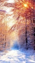 New mobile wallpapers - free download. Landscape, Winter, Trees, Roads, Sun picture and image for mobile phones.