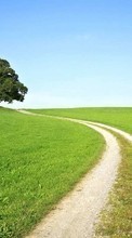 New mobile wallpapers - free download. Landscape, Trees, Grass, Roads picture and image for mobile phones.