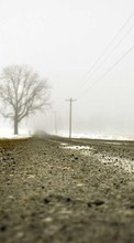 New mobile wallpapers - free download. Trees, Roads, Landscape, Winter picture and image for mobile phones.